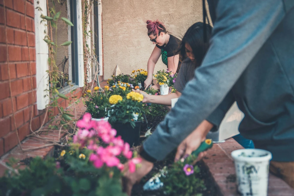 jardinage sans se blesser